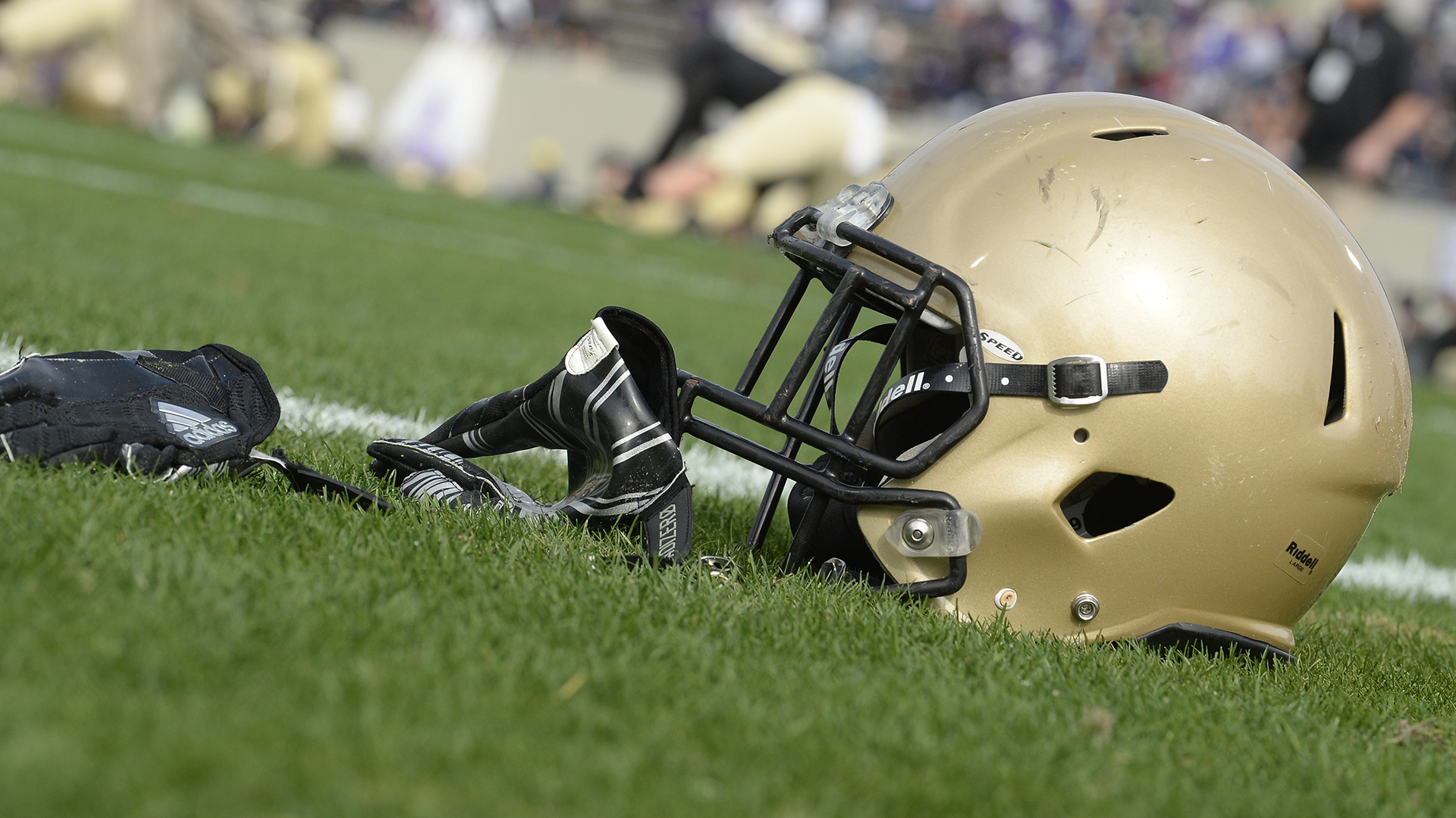 2017 Wofford helmet on field