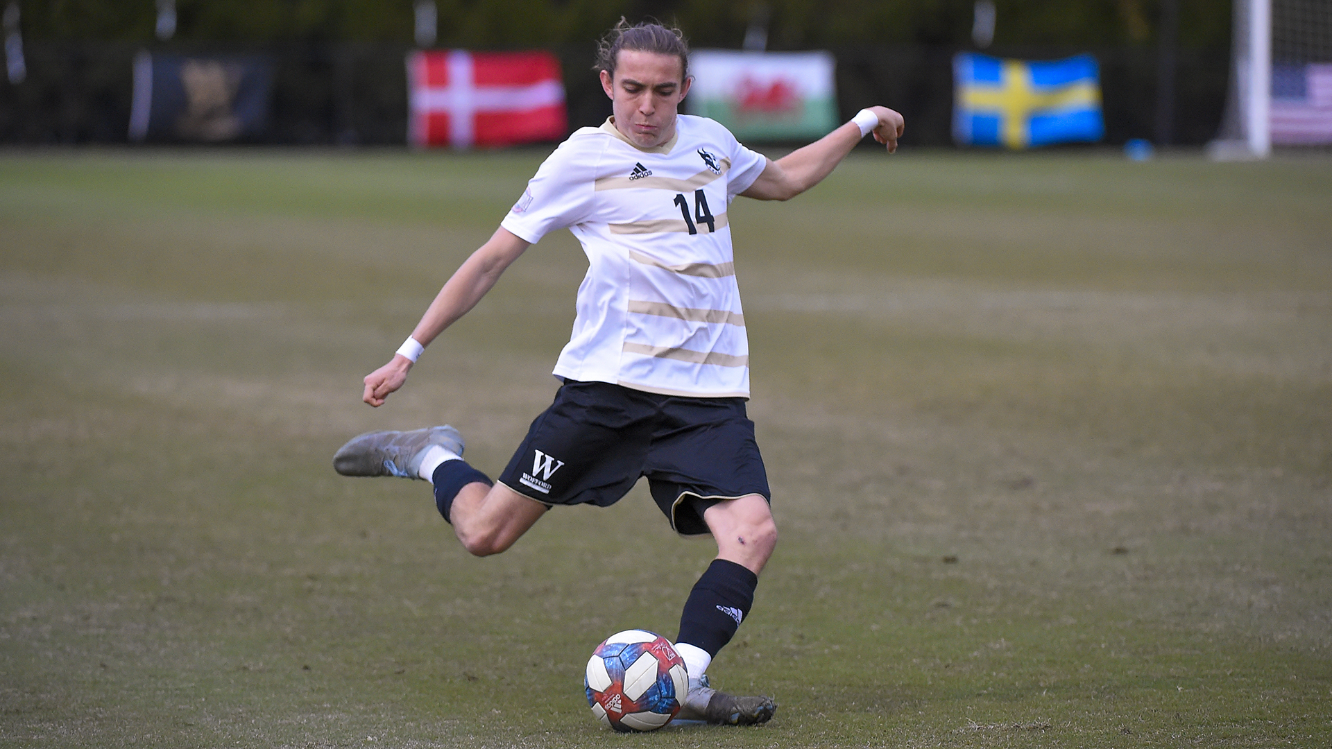 Thaddeus Dennis Men's Soccer Wofford College Athletics