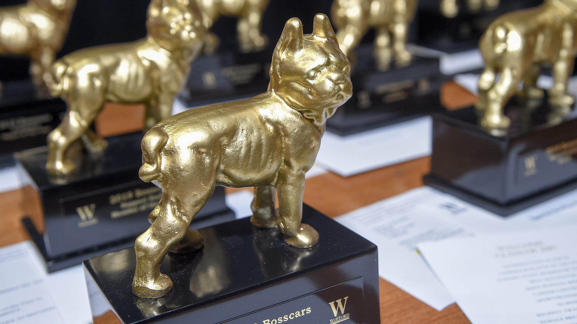 2019 Bosscars trophys