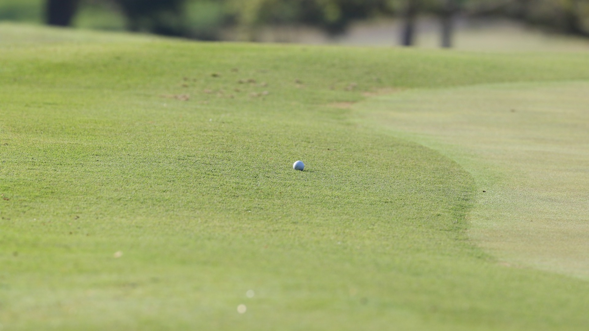 Men’s Golf Competes in Mason Rudolph Championship Wofford College