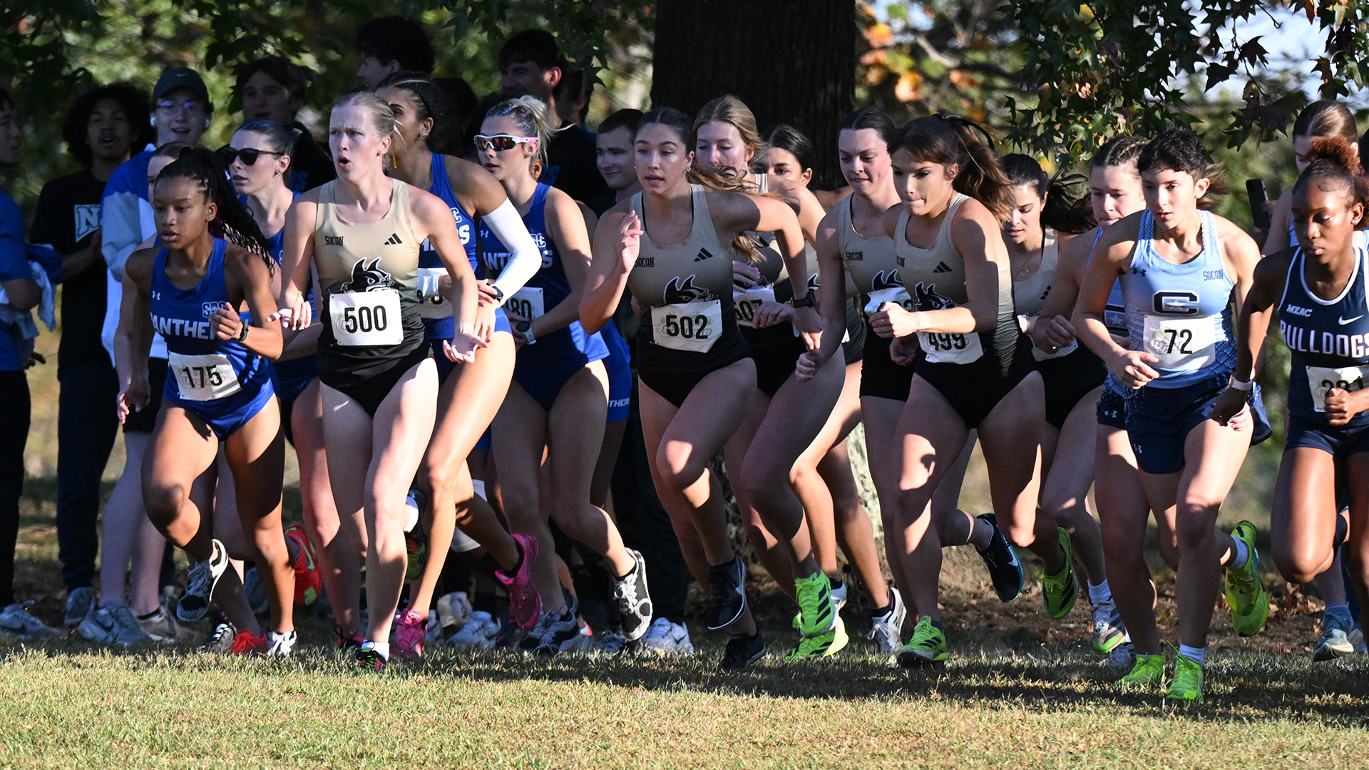 womens XC at Upstate Invite 2025