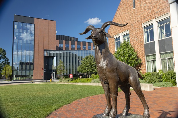 Gompei_2