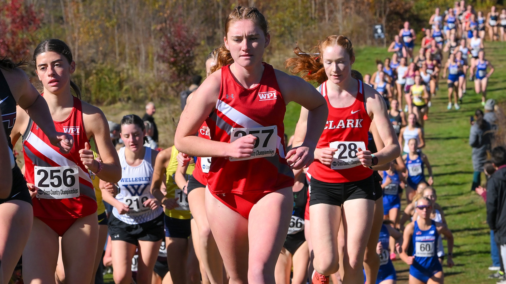 Kayleigh Carnazza-WPI Women's Cross Country-2025