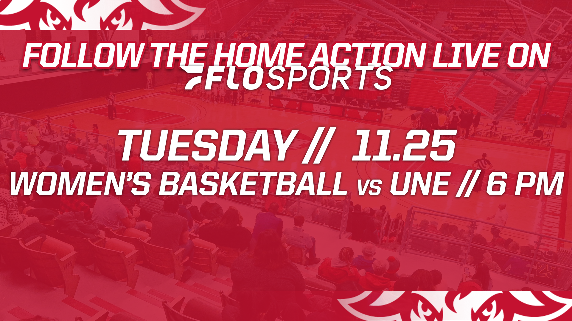 This Week in FloSports-WPI Athletics-112425