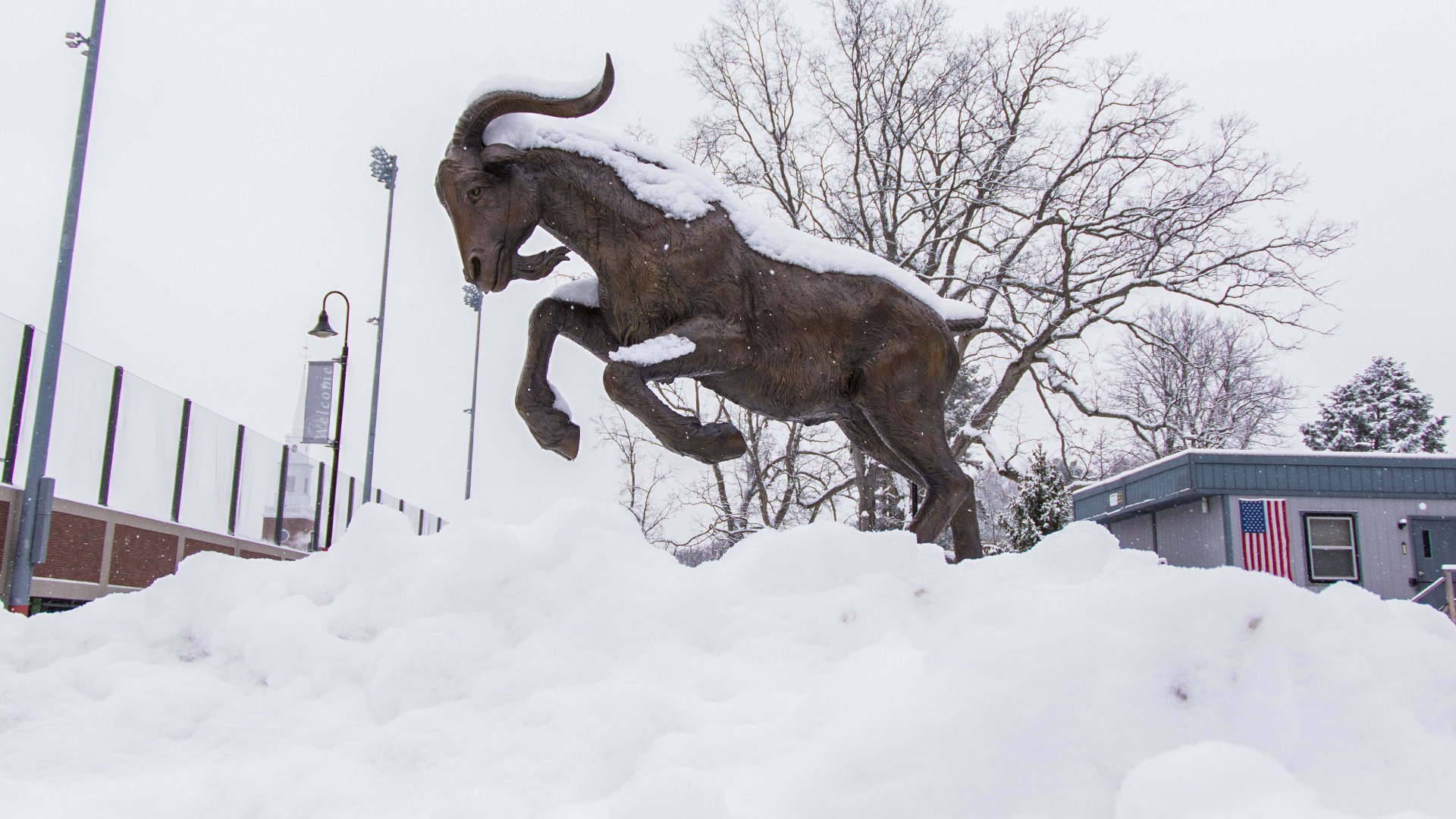 Snow-Gompei-2025