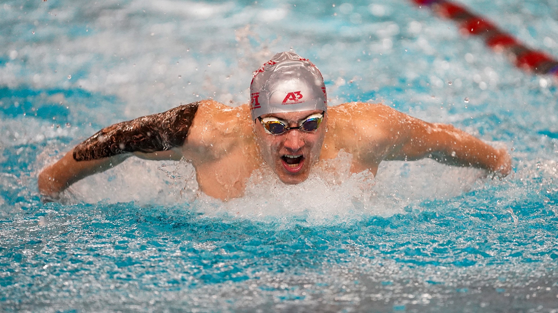 Dean Doubek-WPI Swimming & Diving-2025-2026