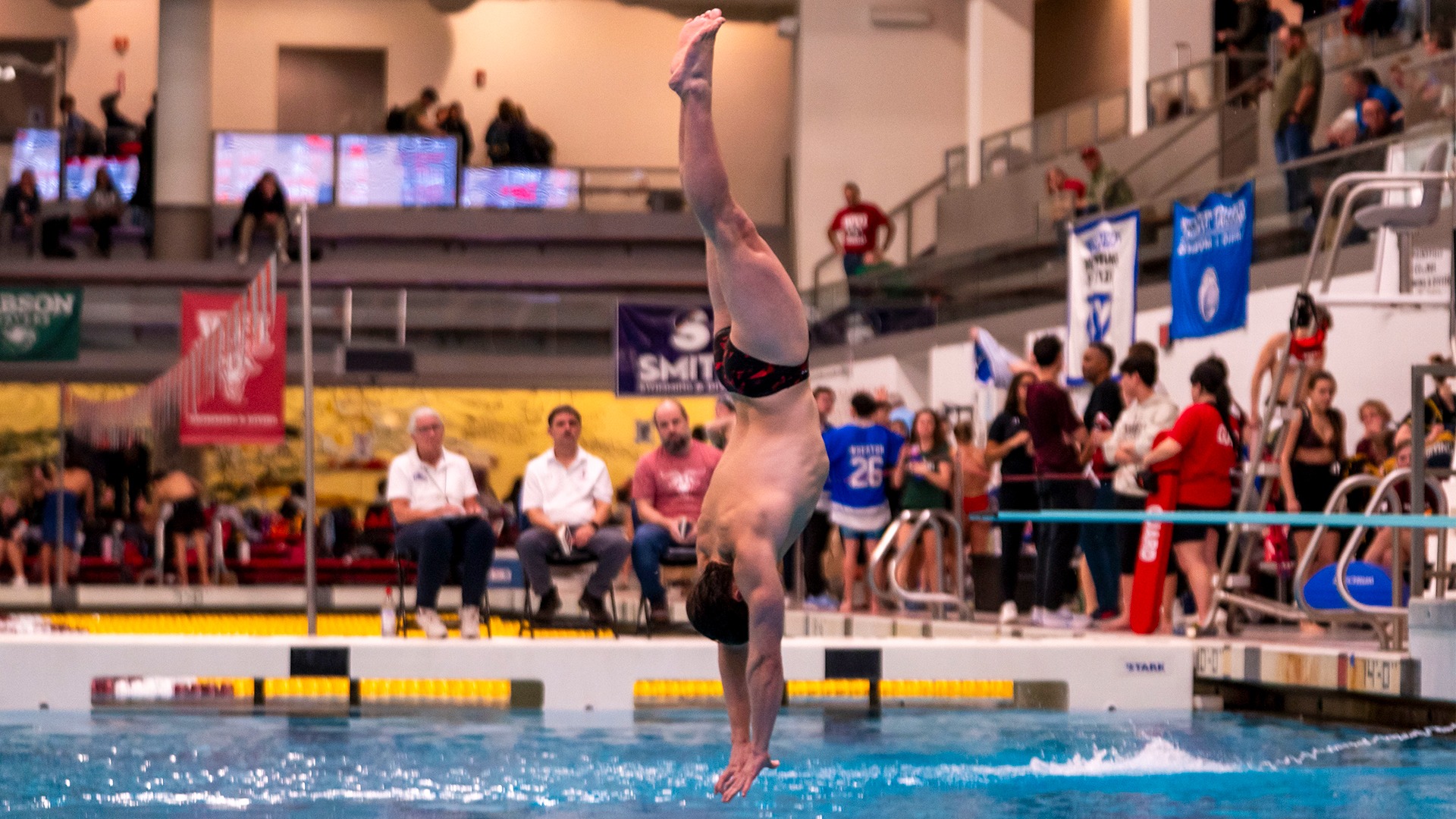 Tom Fitzgerald-WPI Men's Swimming & Diving-2025-2026