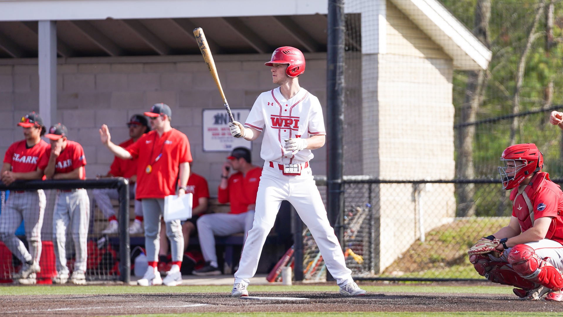 Matt Shea-WPI Baseball-2026