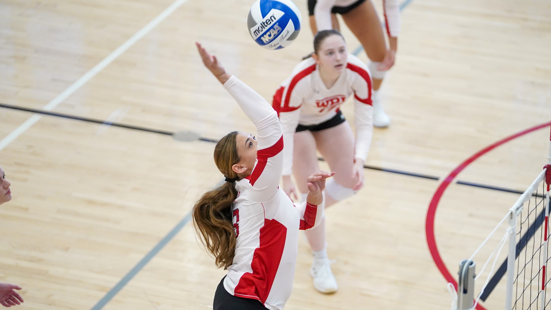 Phia Fisher-WPI Volleyball-2026