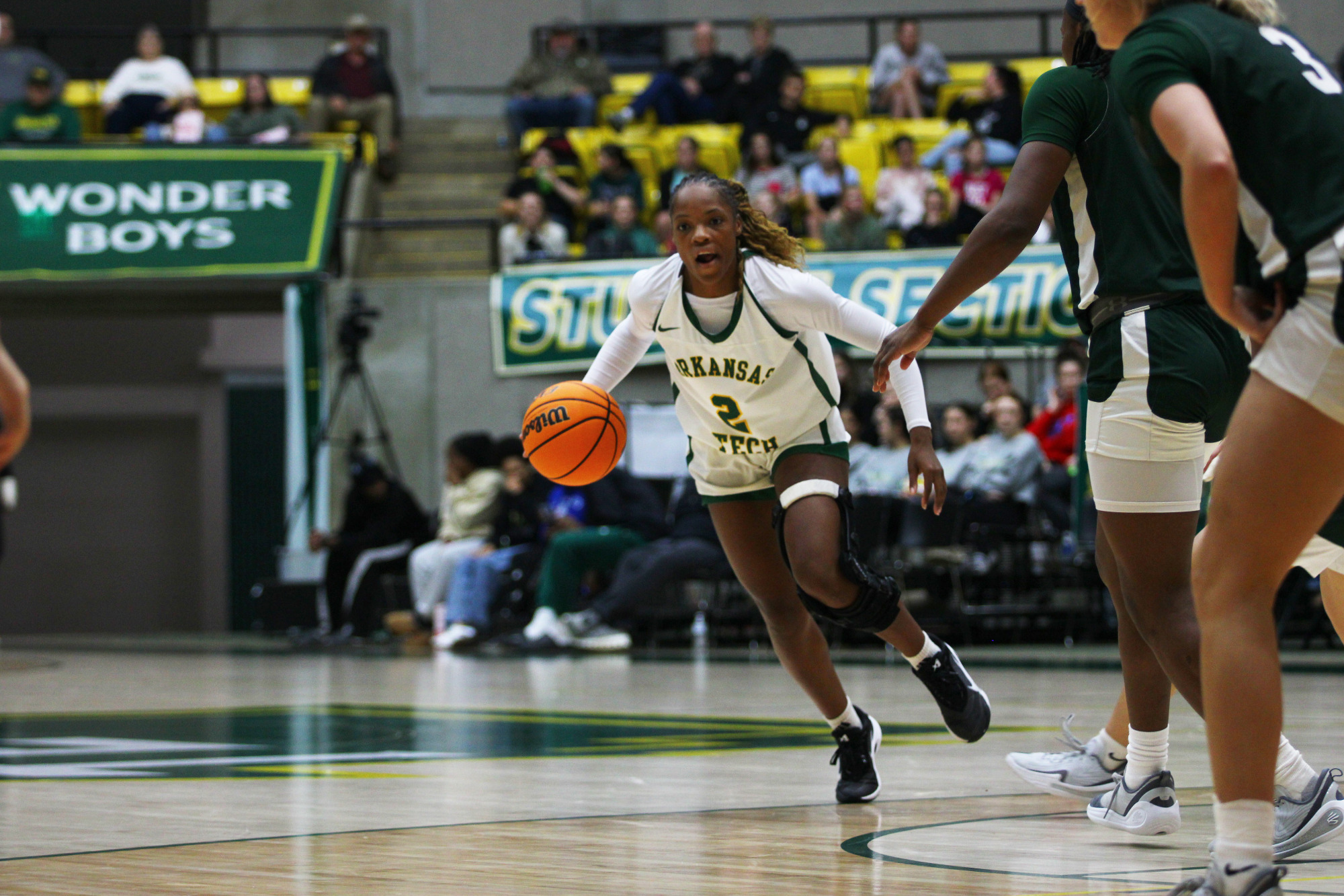 Jadah Pickens vs. Delta State