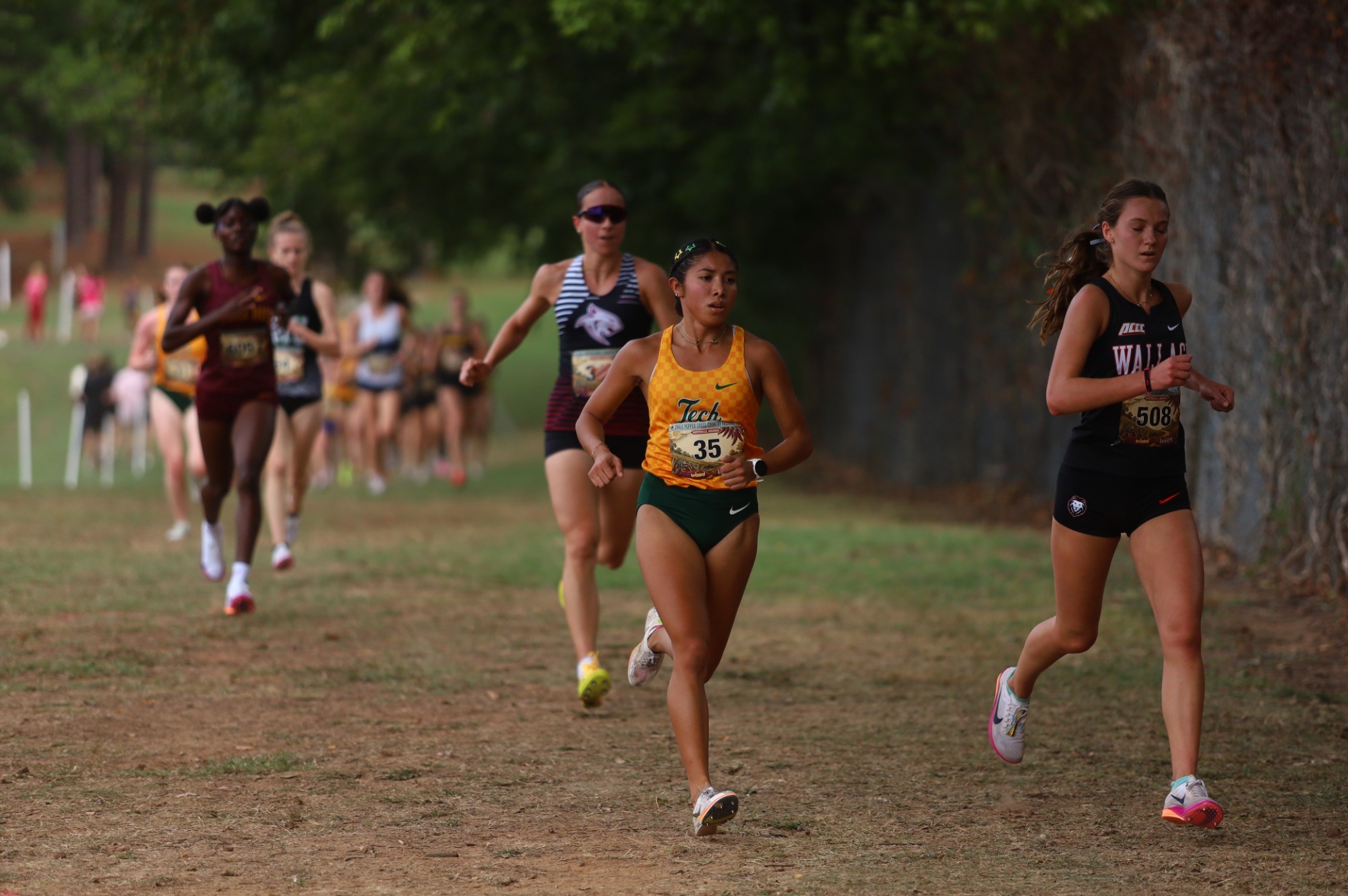 Passion P running (at Chili Pepper)