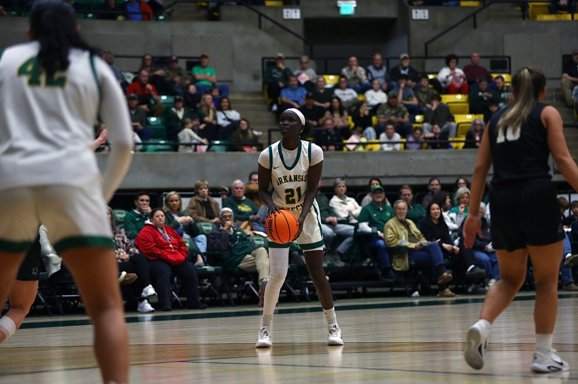 Perina Leime vs. Harding