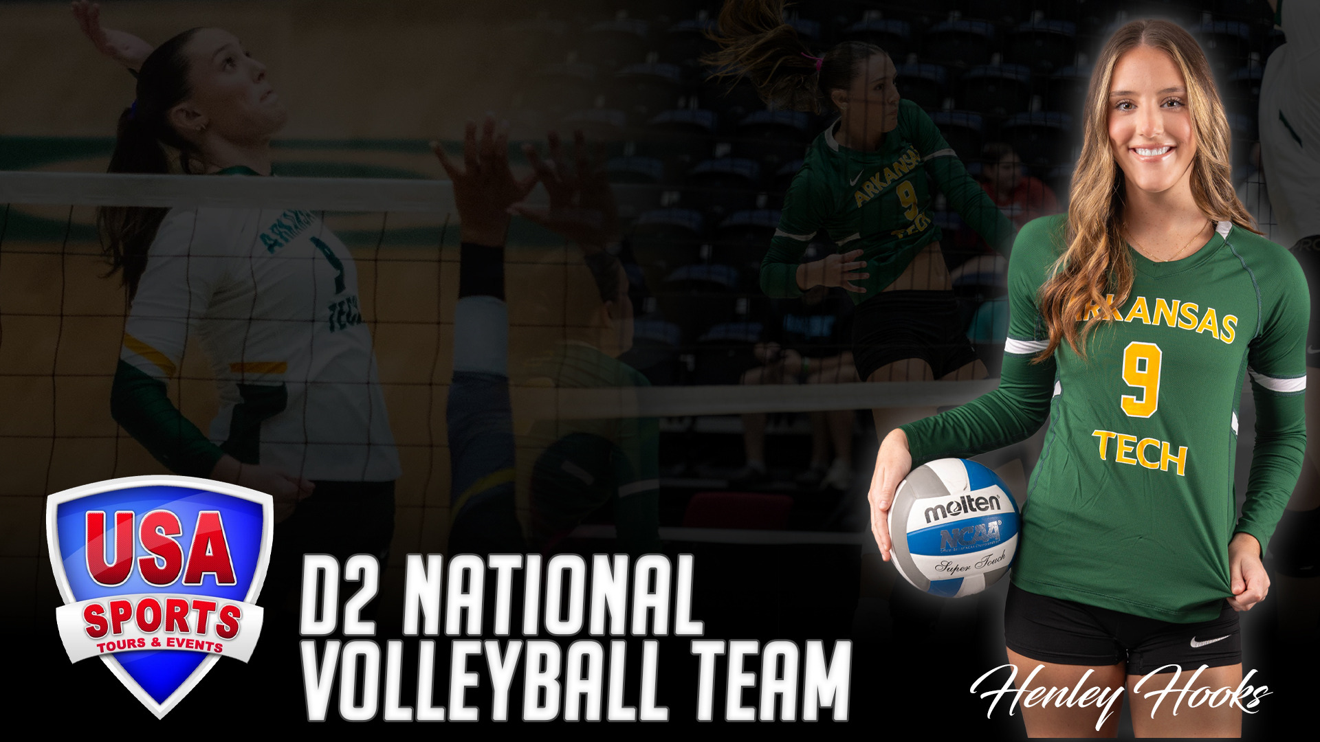 Henley Hooks D2 National Volleyball Team