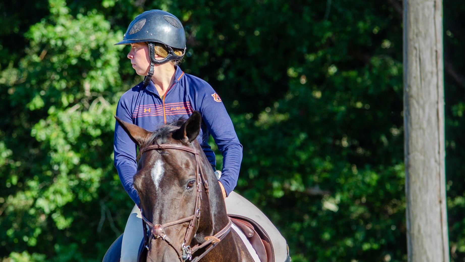 Samantha Briggs Equestrian Auburn University Athletics