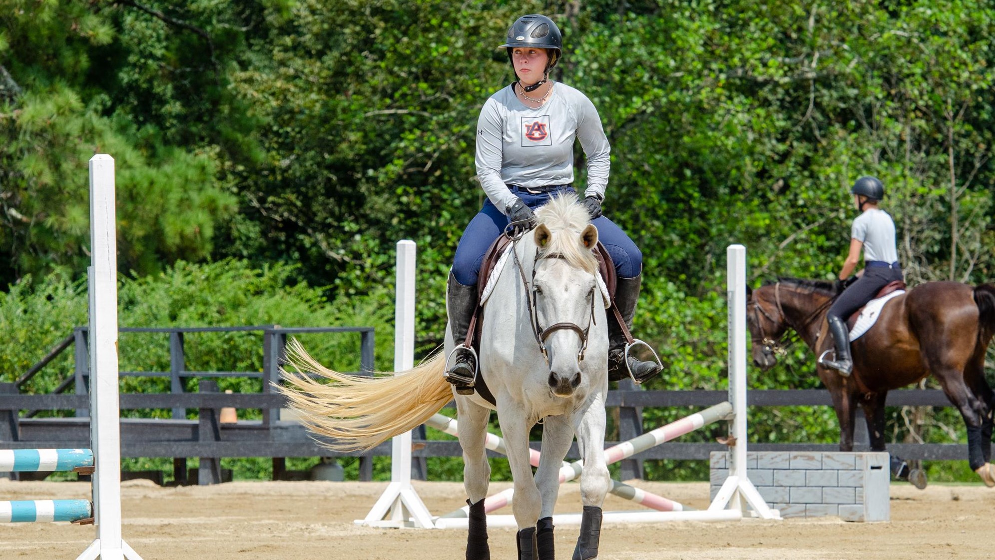 Samantha Briggs Equestrian Auburn University Athletics