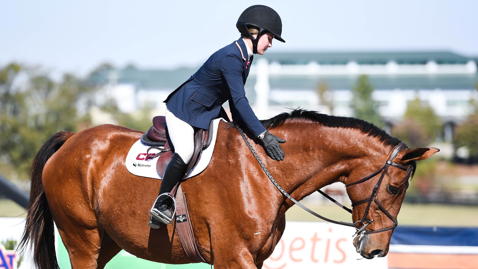 Baylee Mckeever - Equestrian - Auburn University Athletics