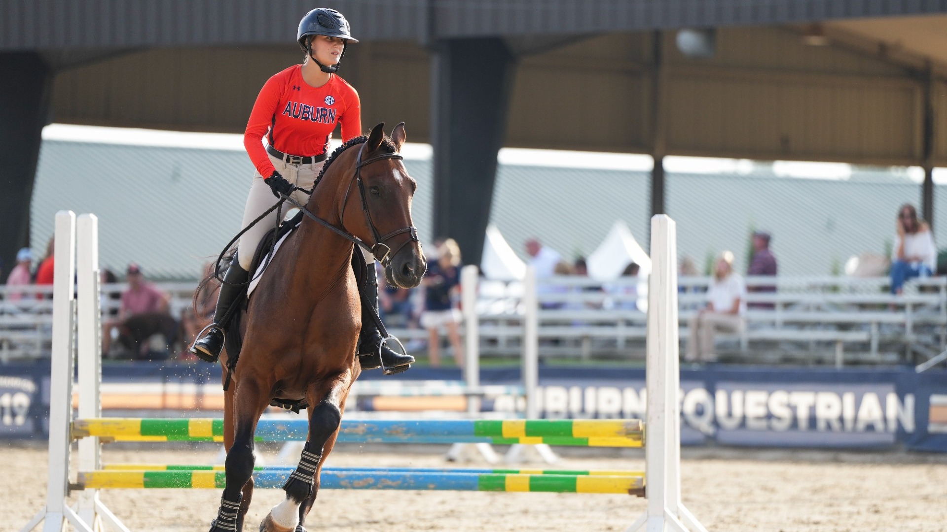 Charlotte McLaughlin Equestrian Auburn University Athletics