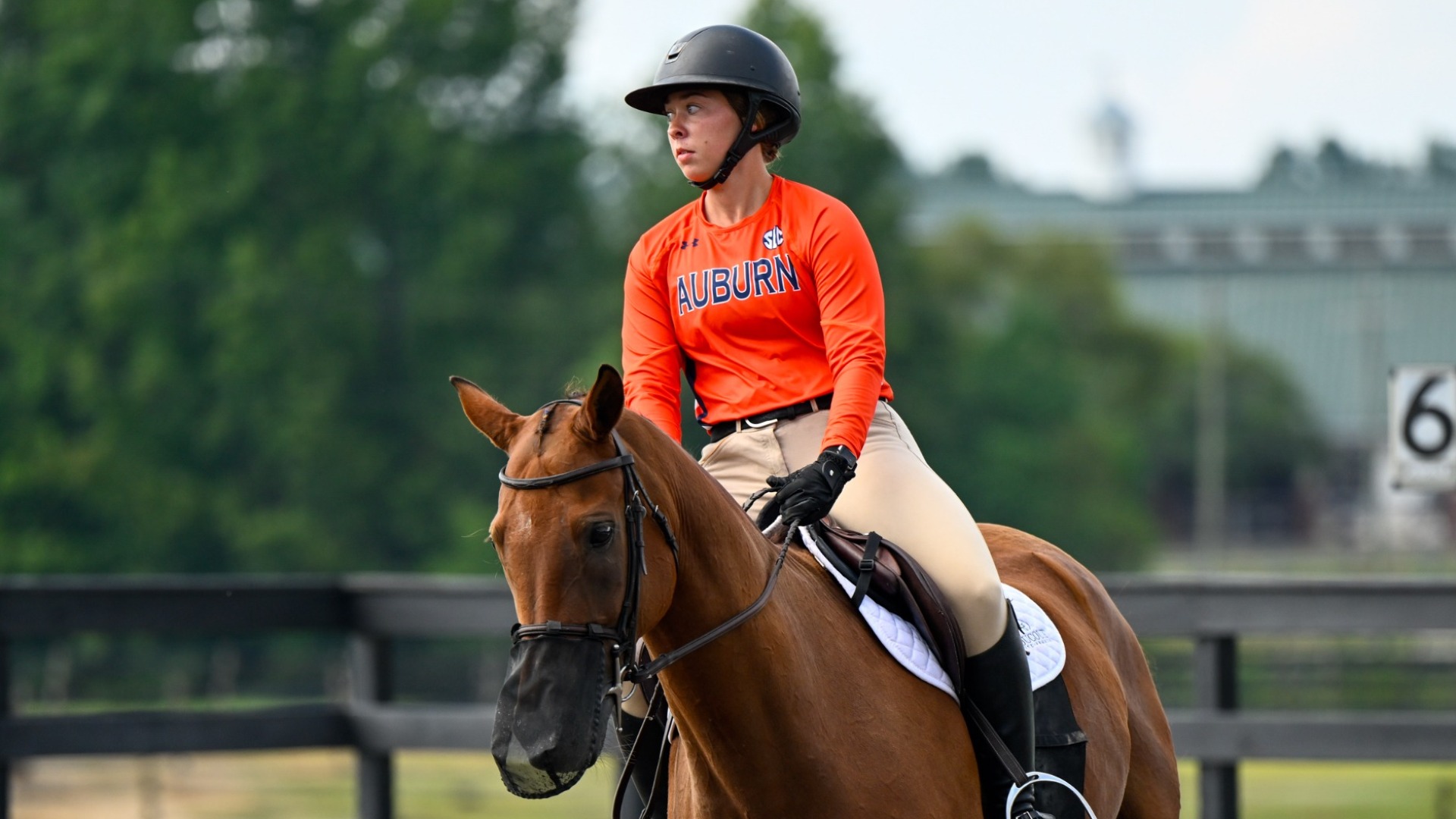 Samantha Briggs Equestrian Auburn University Athletics
