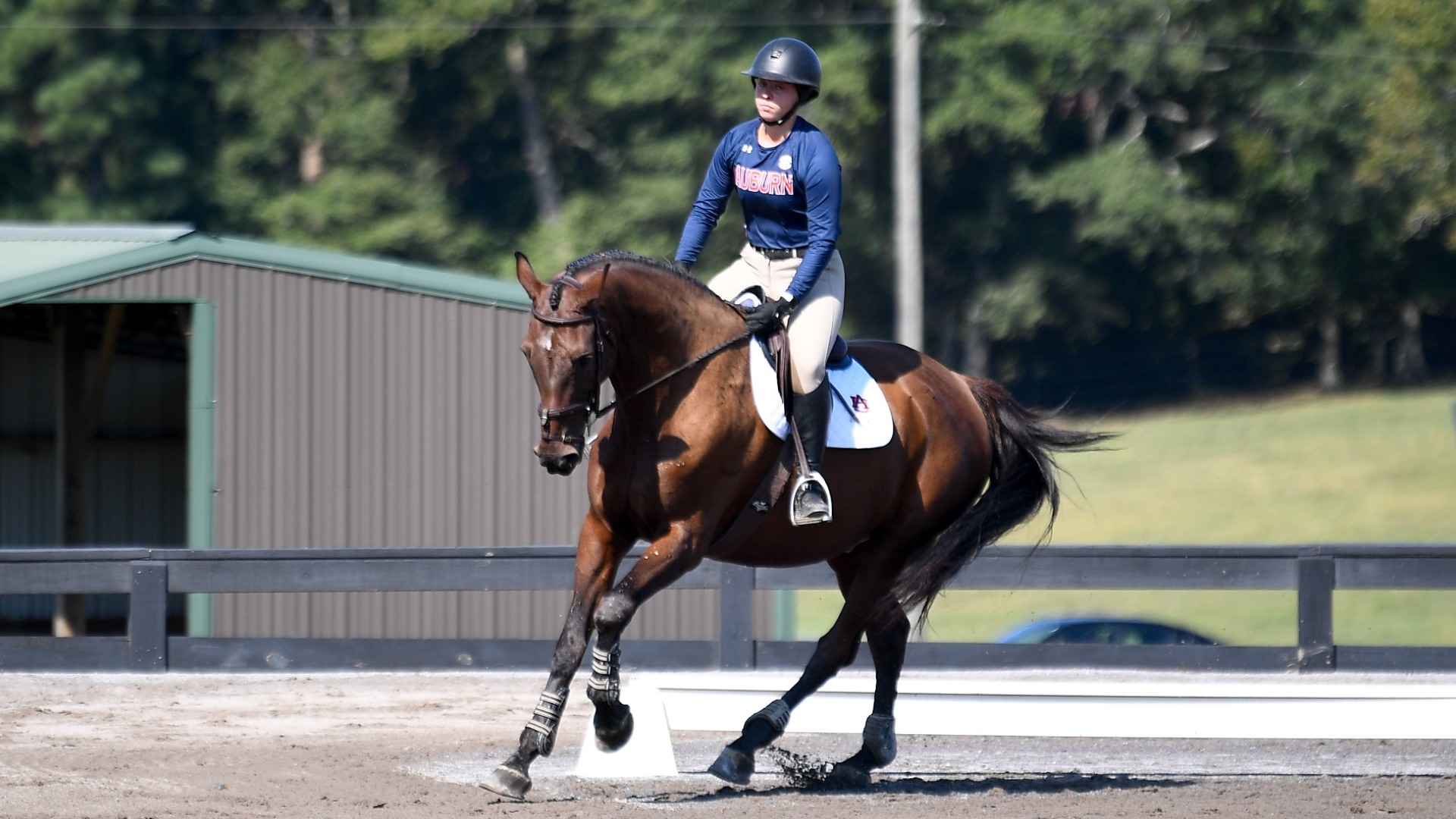 Samantha Briggs Equestrian Auburn University Athletics