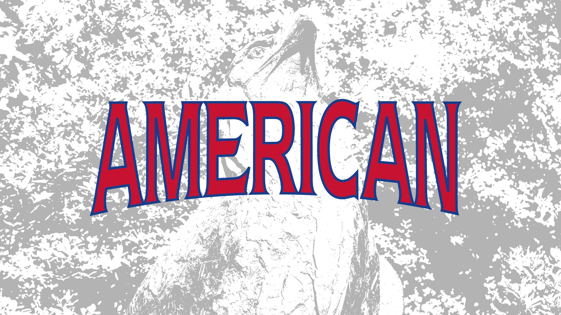 American logo graphic