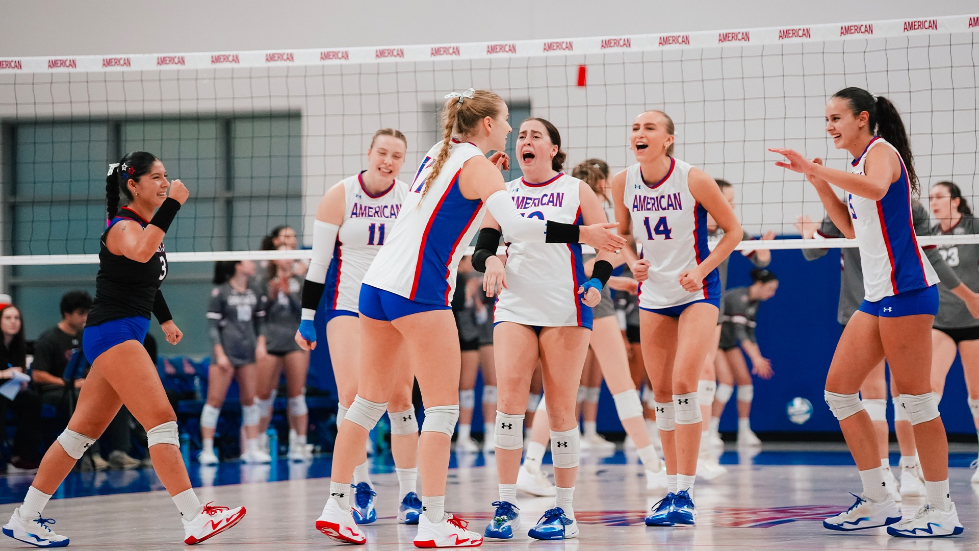 The volleyball team celebrating a point.