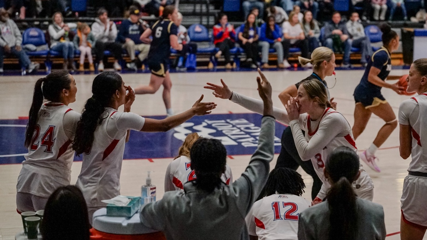 Women's basketball celebrates a three pointer from the bench. 