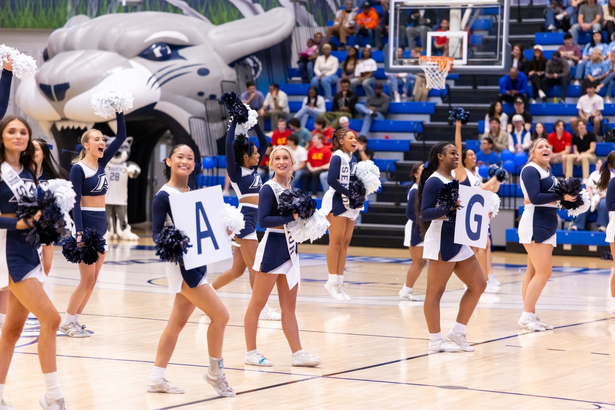 cheerleaders during a media timeout at a mens basketball game