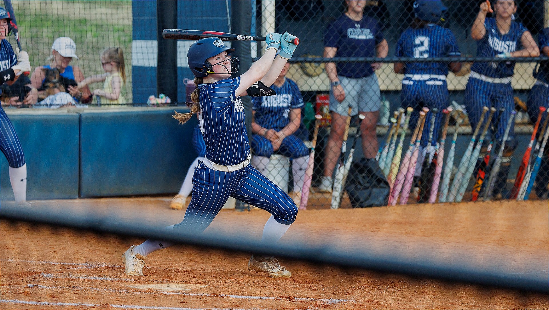 Gilbert watches one fly