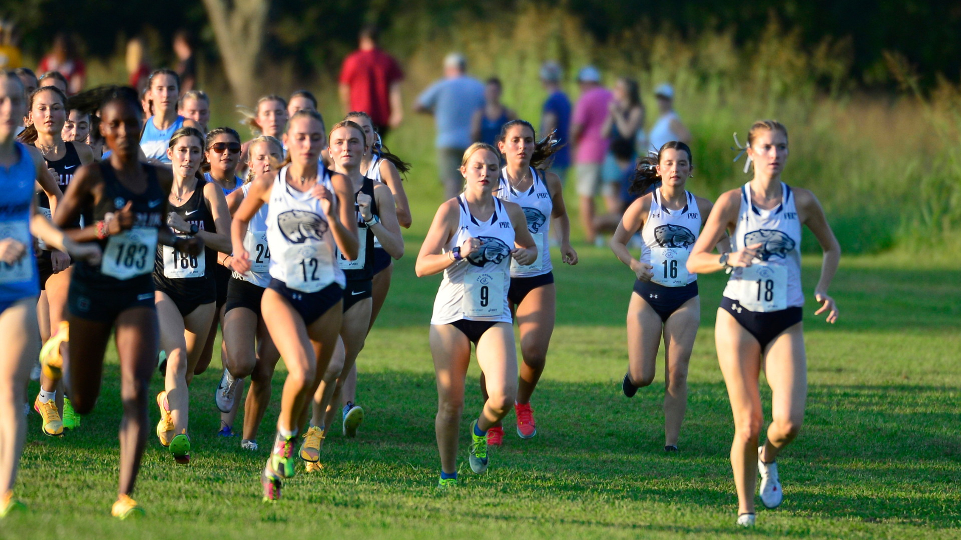 Womens cross country runners