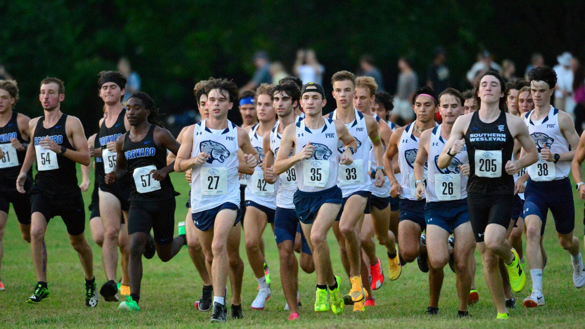 Augusta Mens cross country