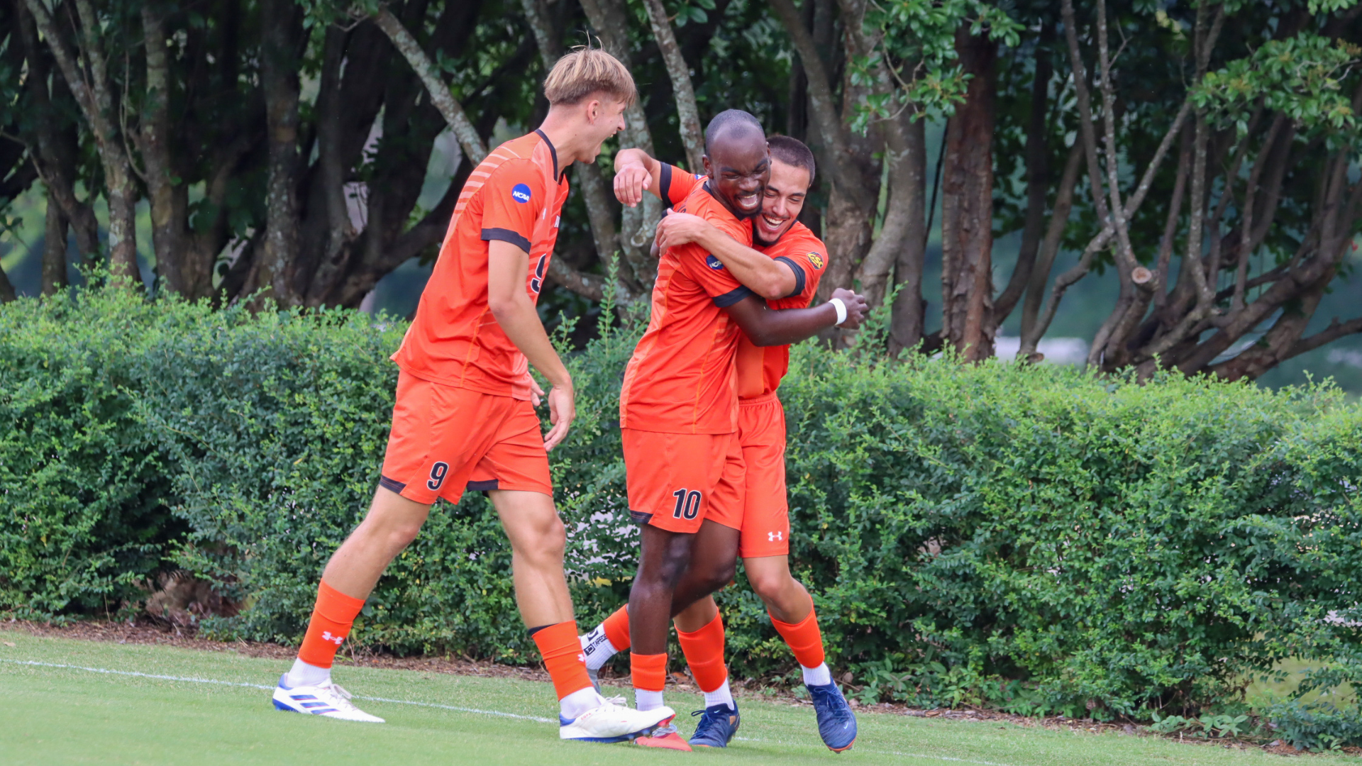 Lukua, Hoffmann, & Fernandes