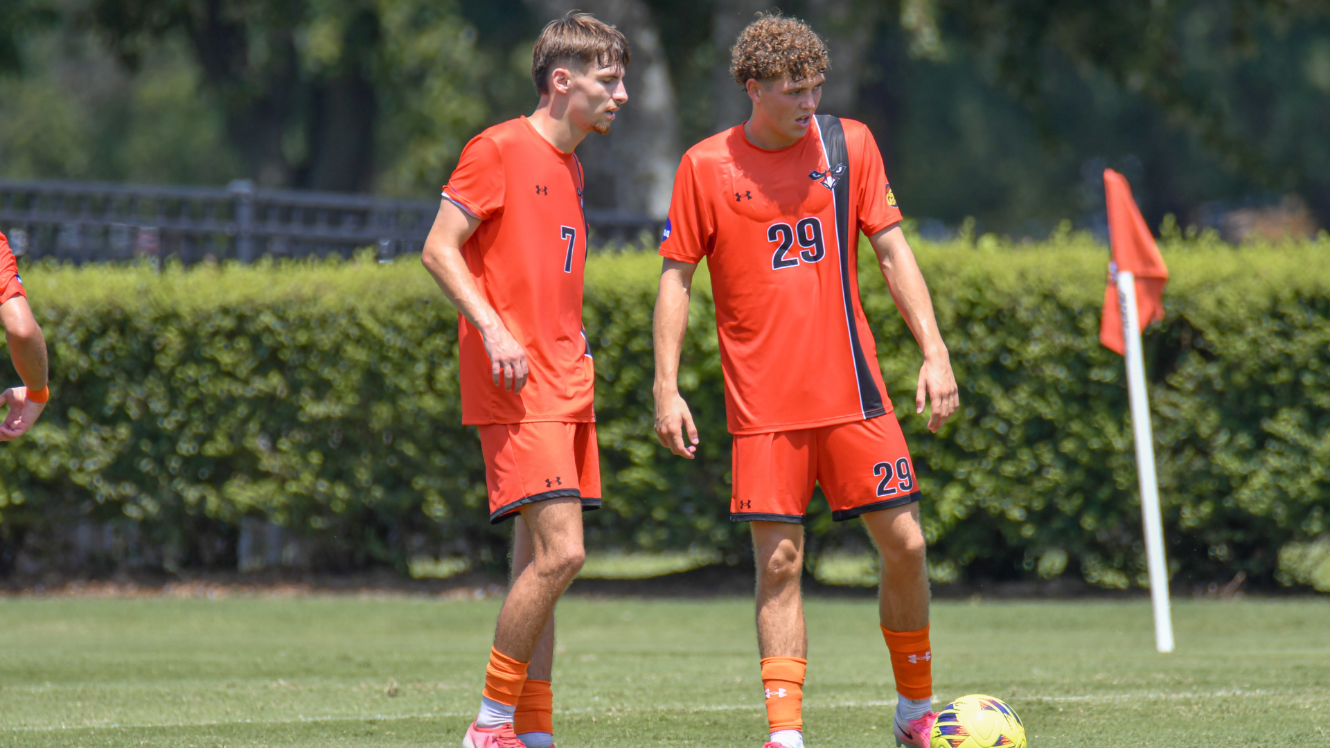 MSOC