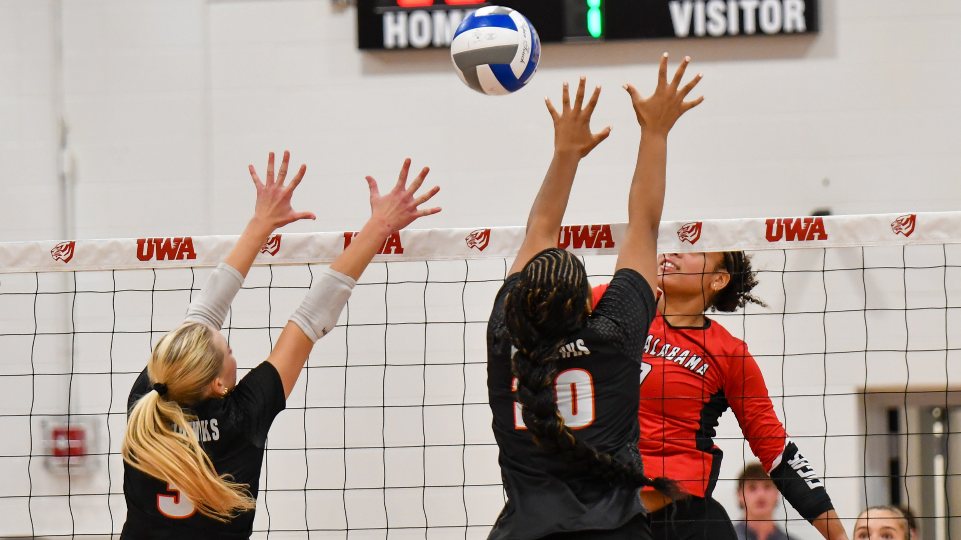 VB Block