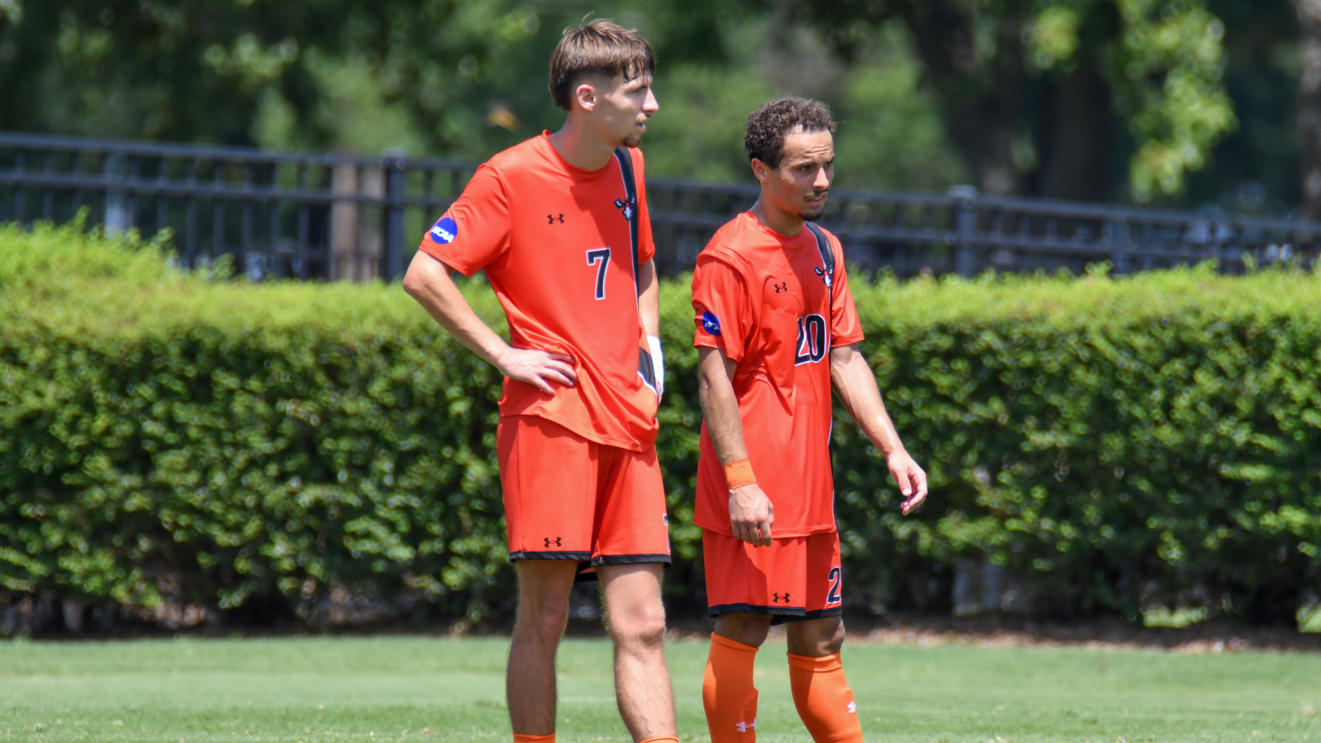 MSOC