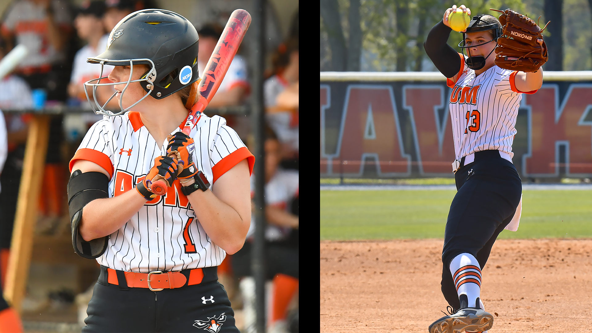 NFCA Watchlist Cover