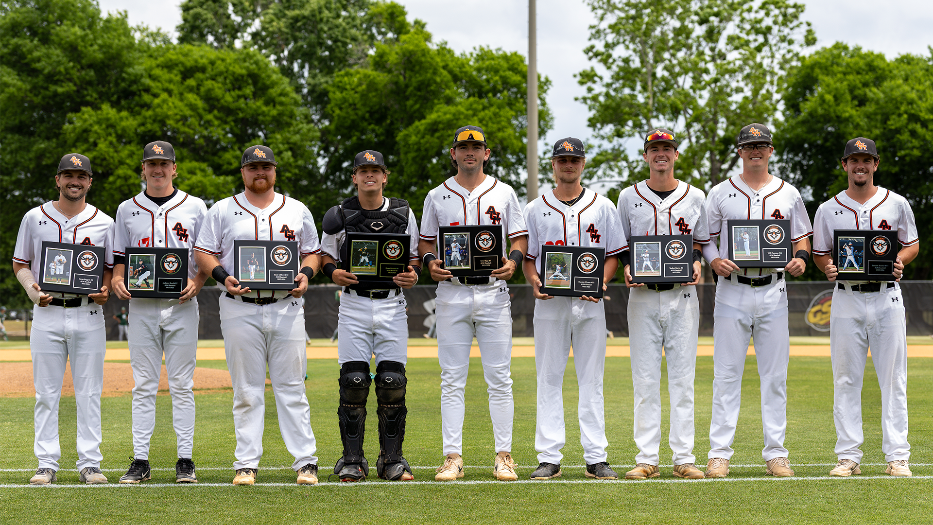 Baseball Seniors