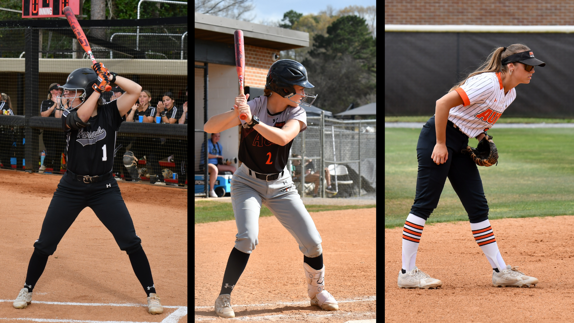 Academic All America for Softball