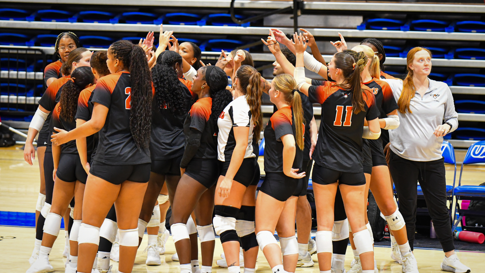 VB Team