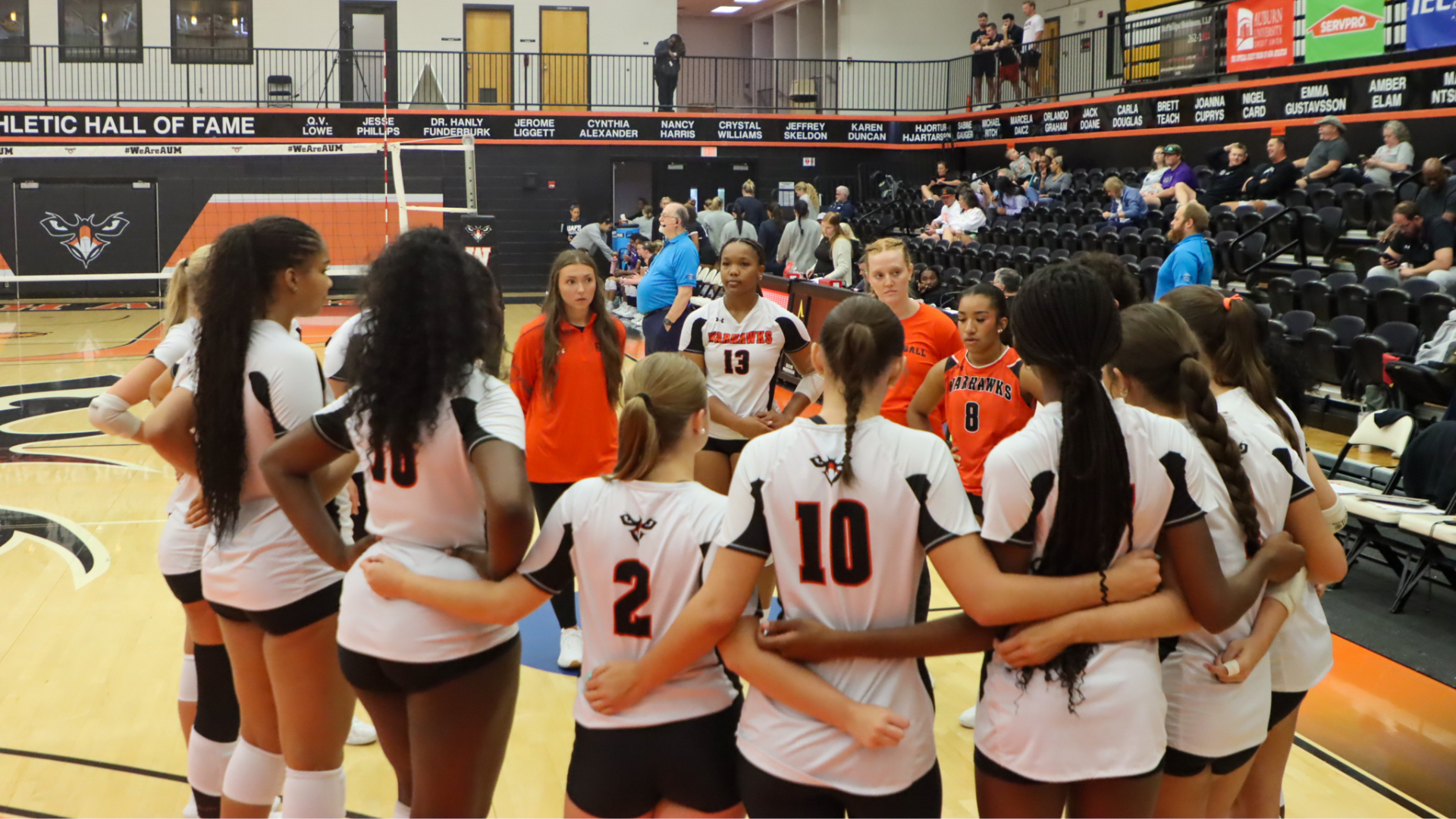 VB Team