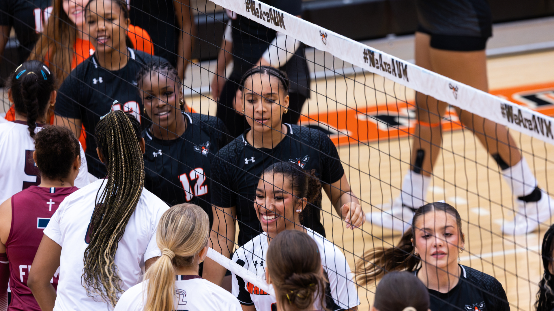 VB Team