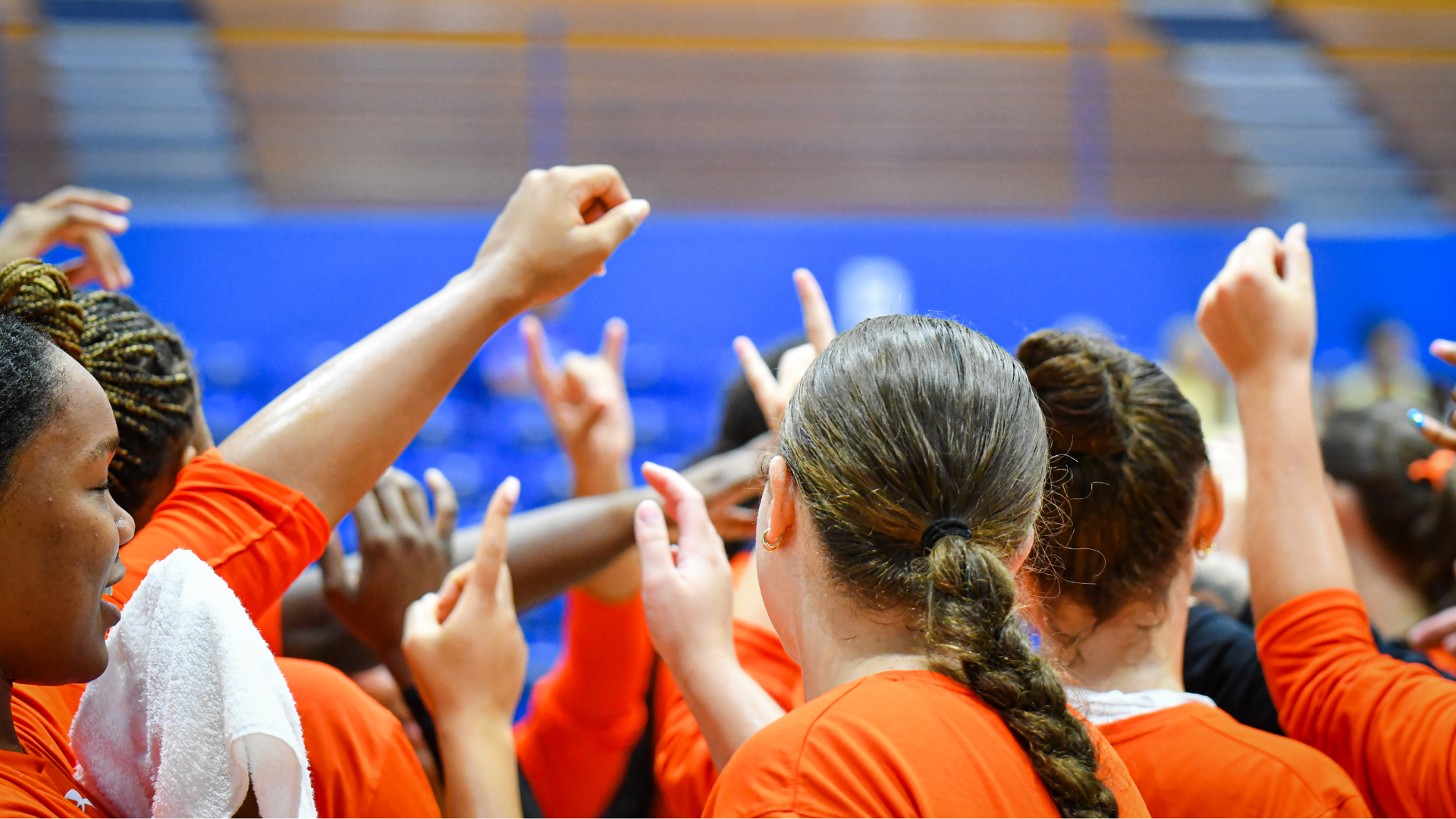 VB Team