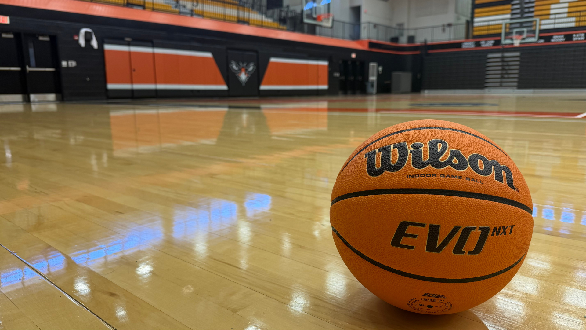 Stock Basketbll