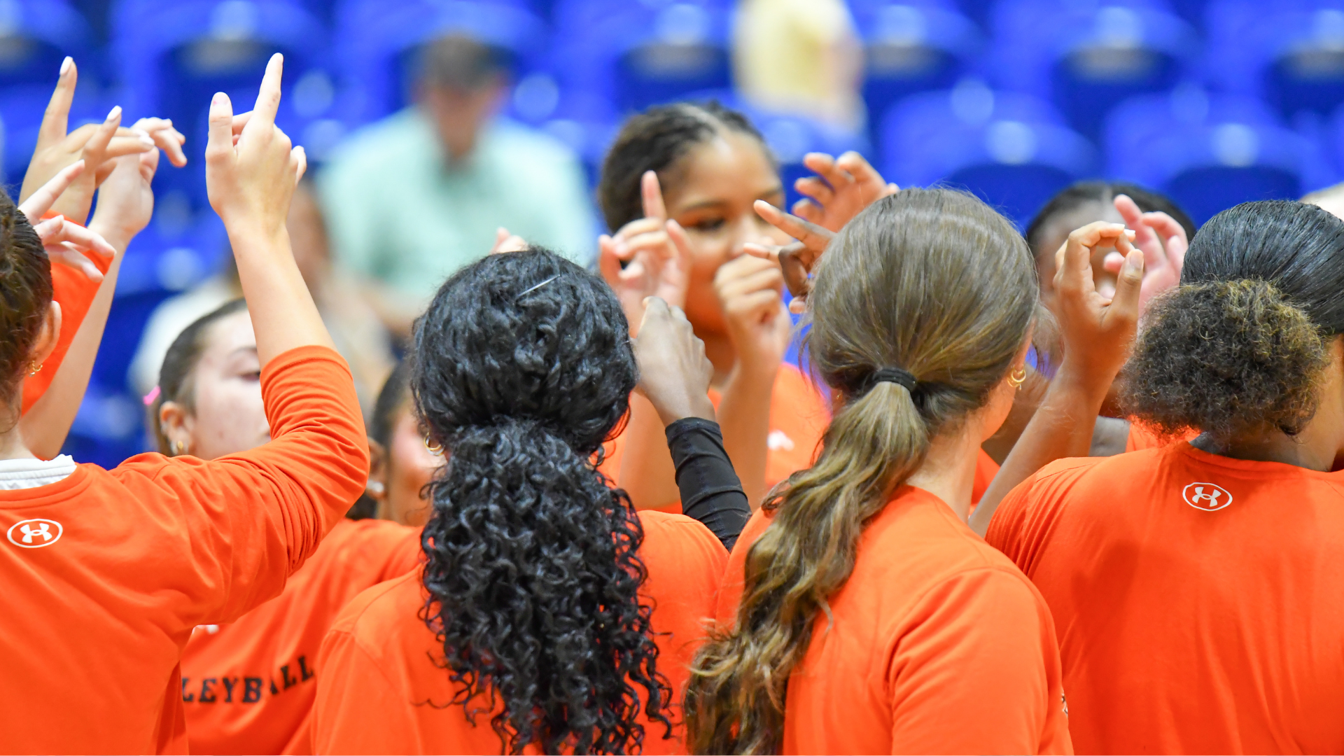VB Team