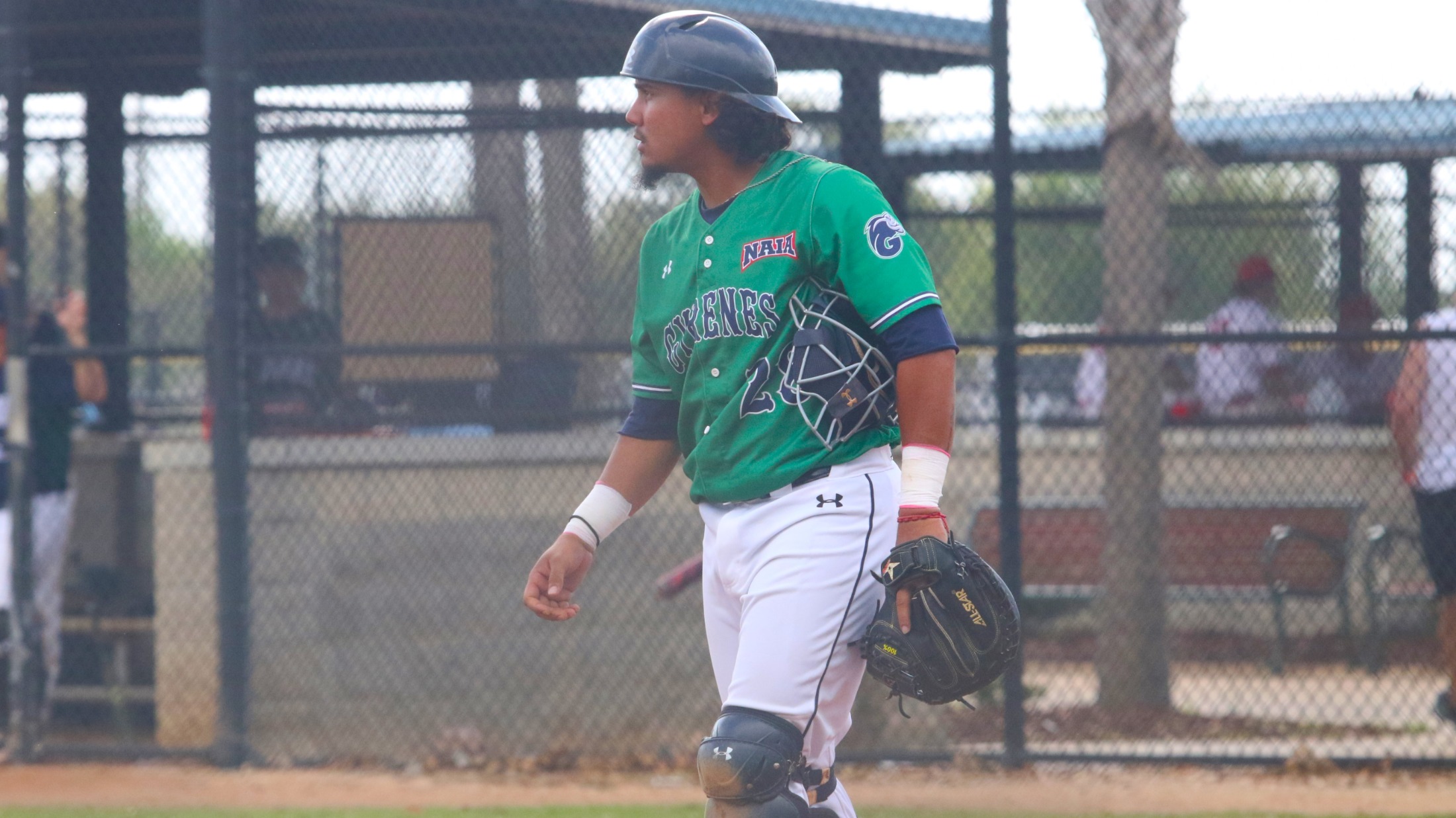 Axel Melendez Baseball Ave Maria University Athletics