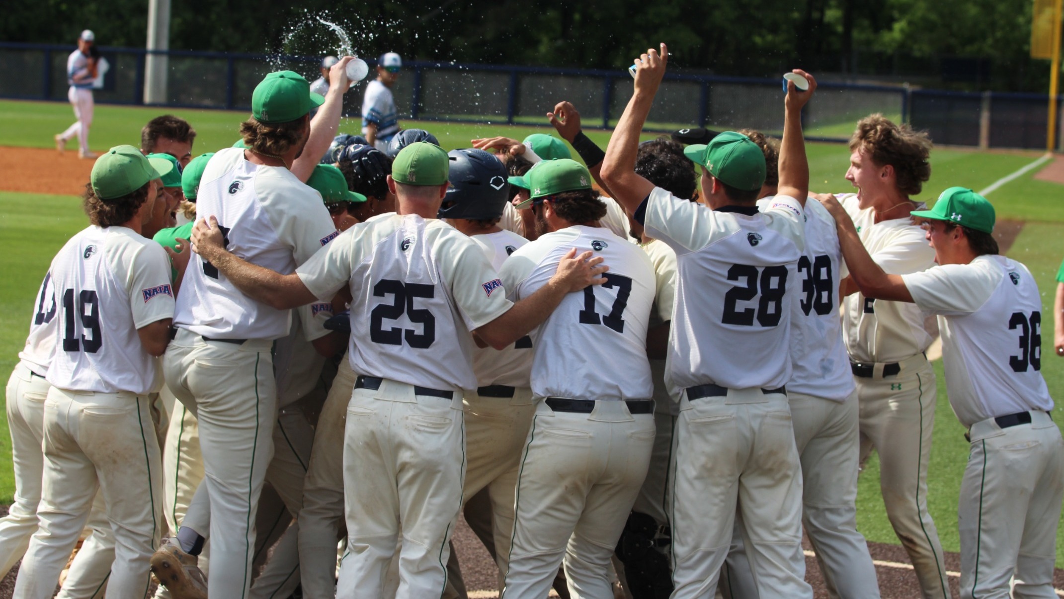 Team celebrates walk off win