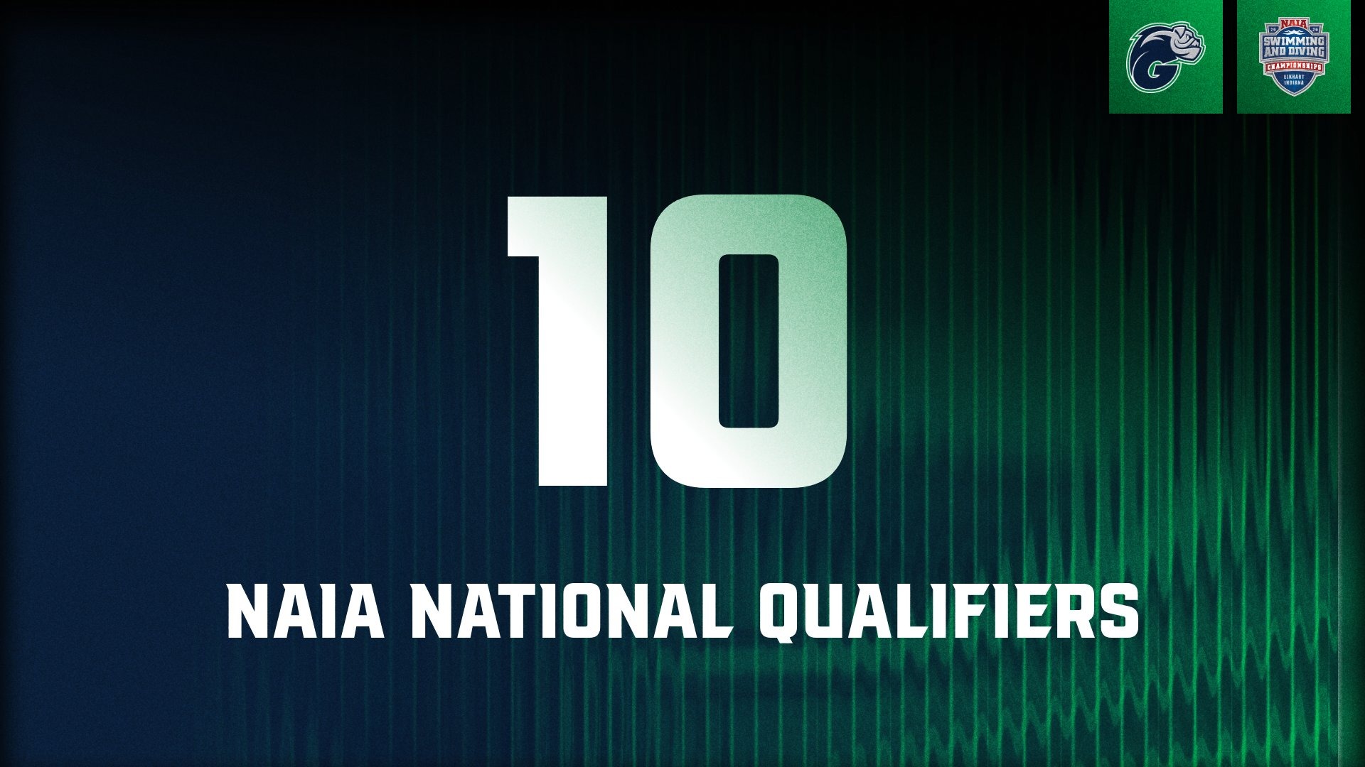 Swim has 10 National Qualifiers