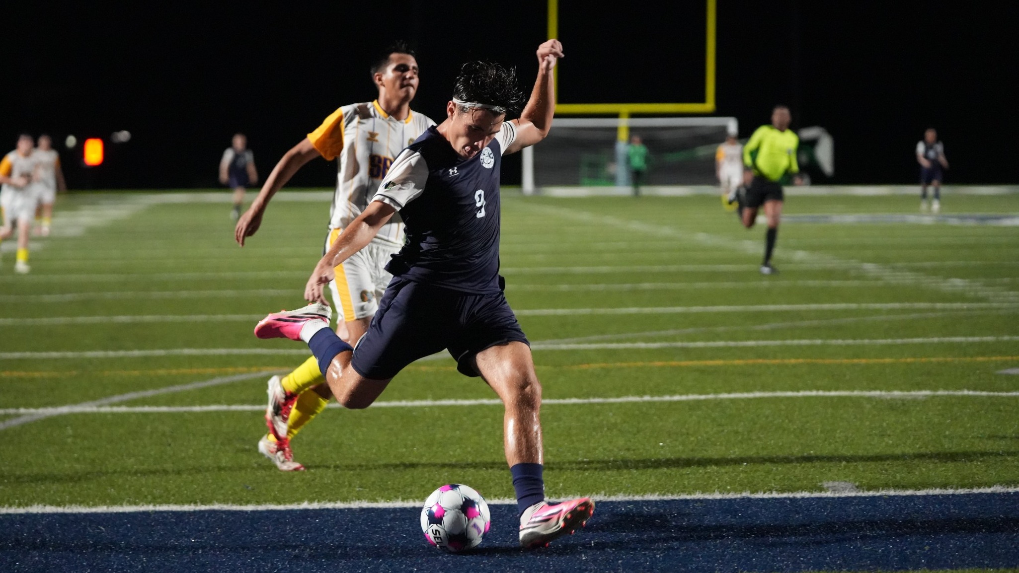 Sava's 20th goal