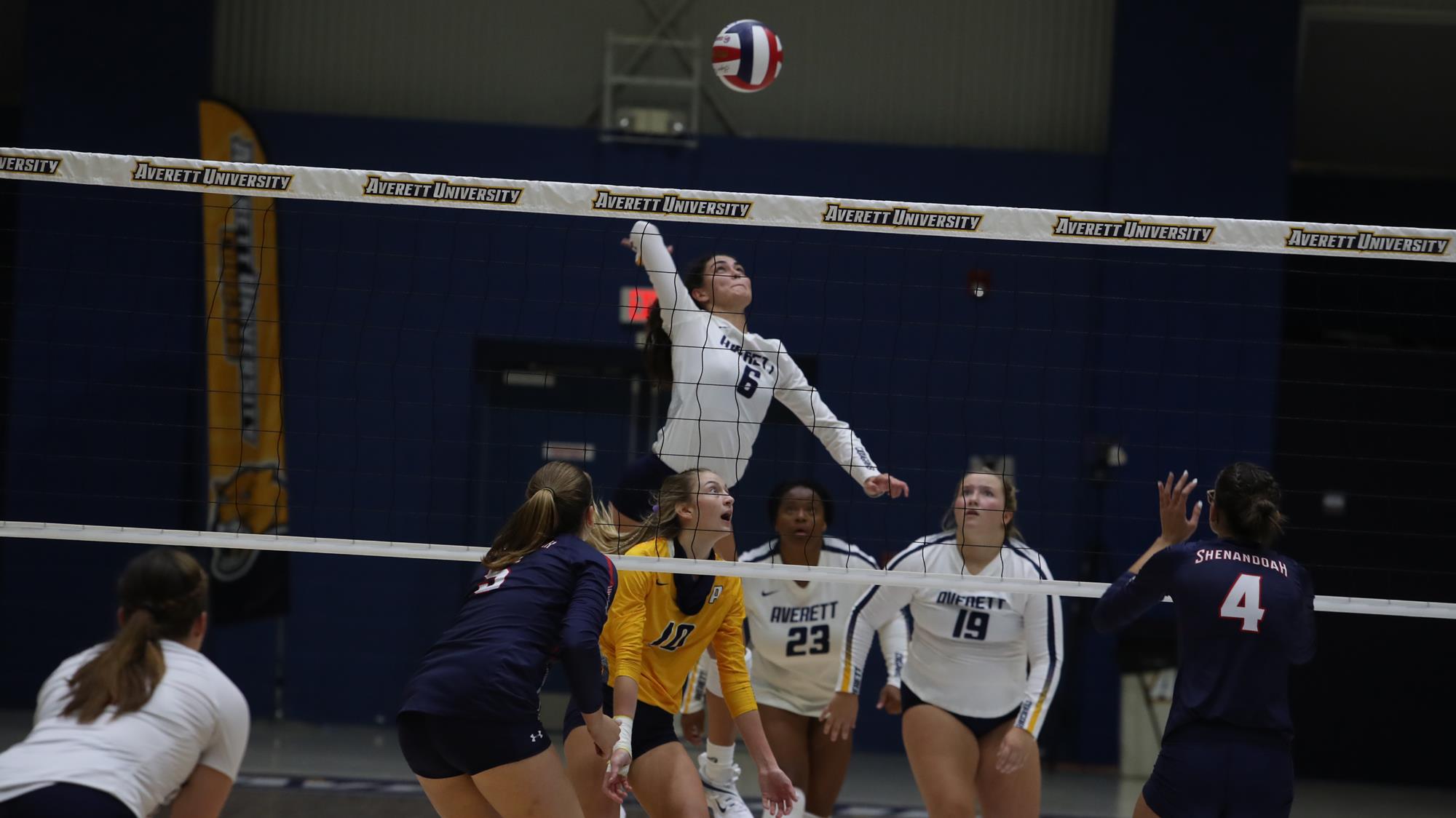 Kinsley Stevens 2023 Women's Volleyball Averett University Athletics