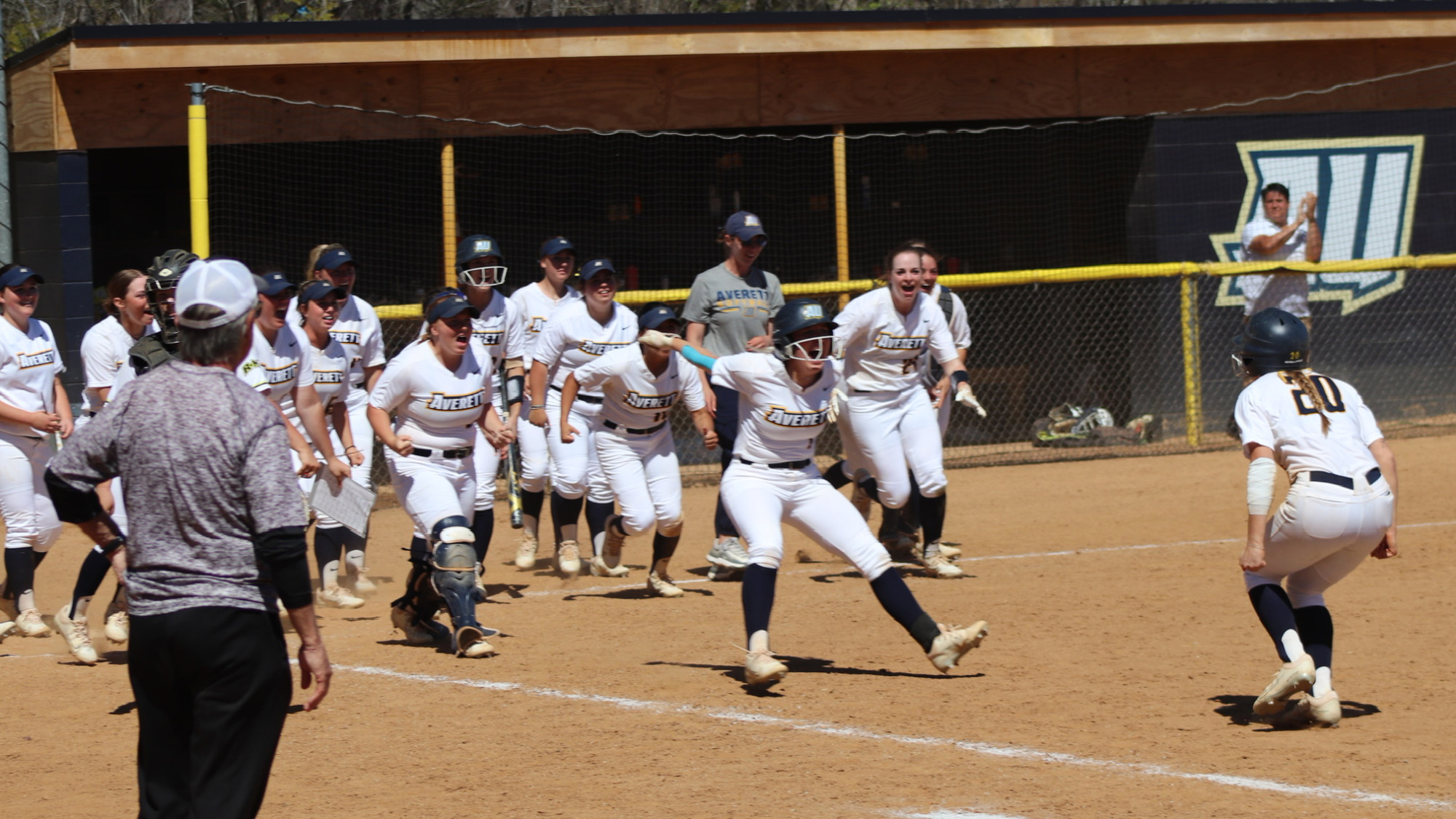 Softball gets walkoff win to beat No. 9 RandolphMacon in ODAC