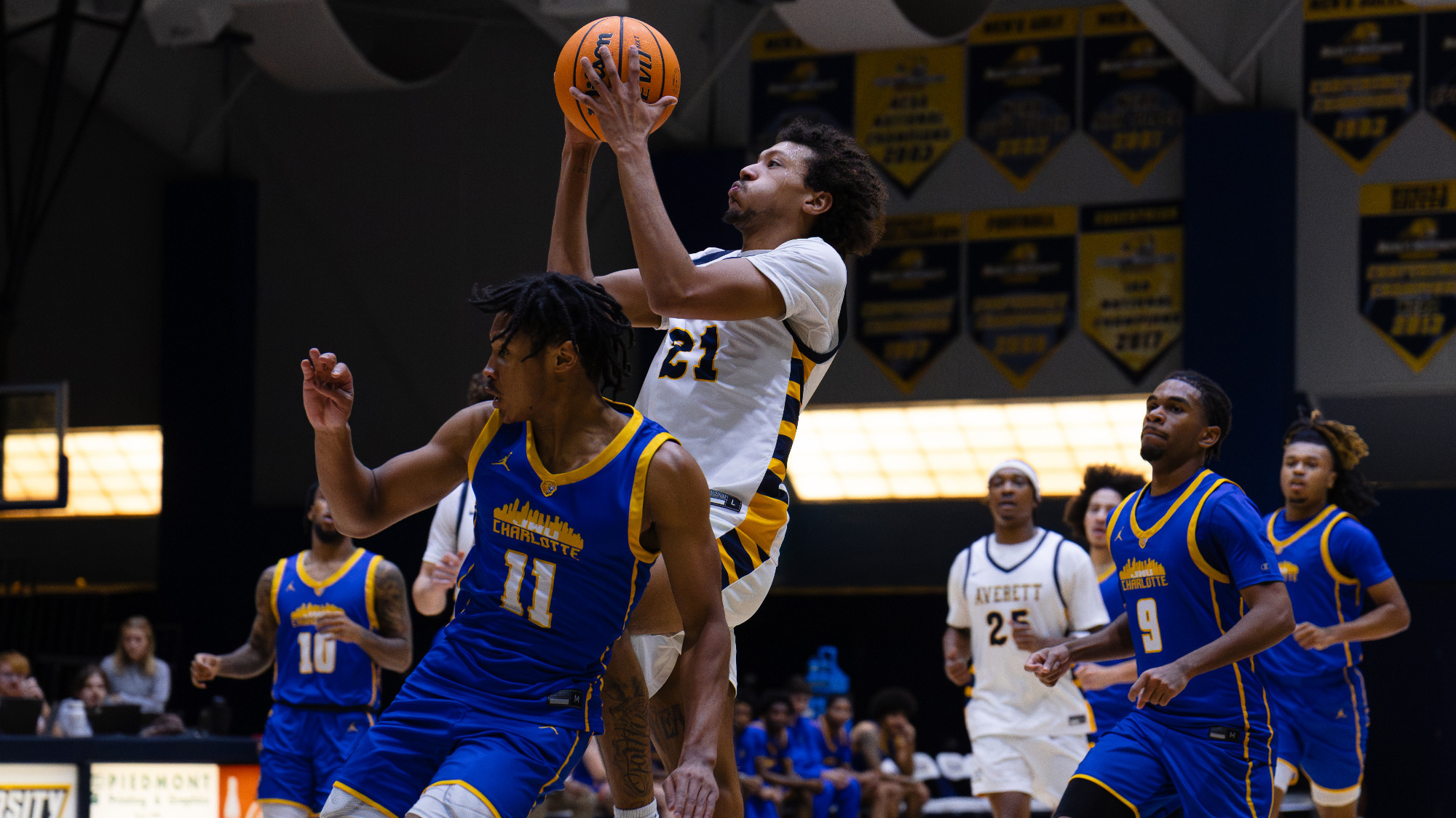 Josh Lewis mens basketball 121625 